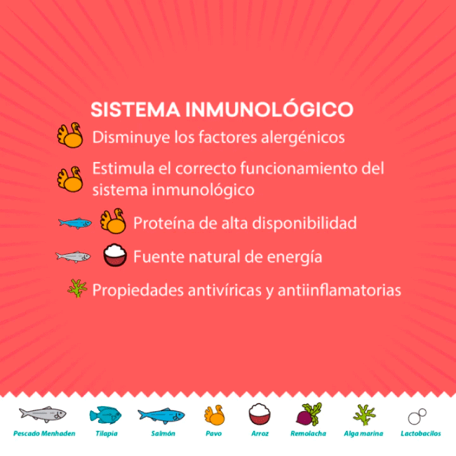 Kisha Alimento para Gato Kisha Alimento para Gato